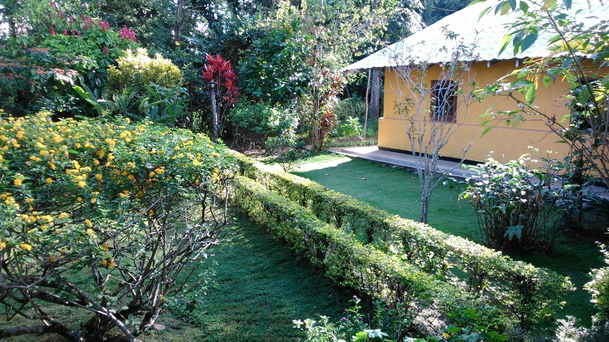 Sunnyside Holiday Bungalow Элла Экстерьер фото