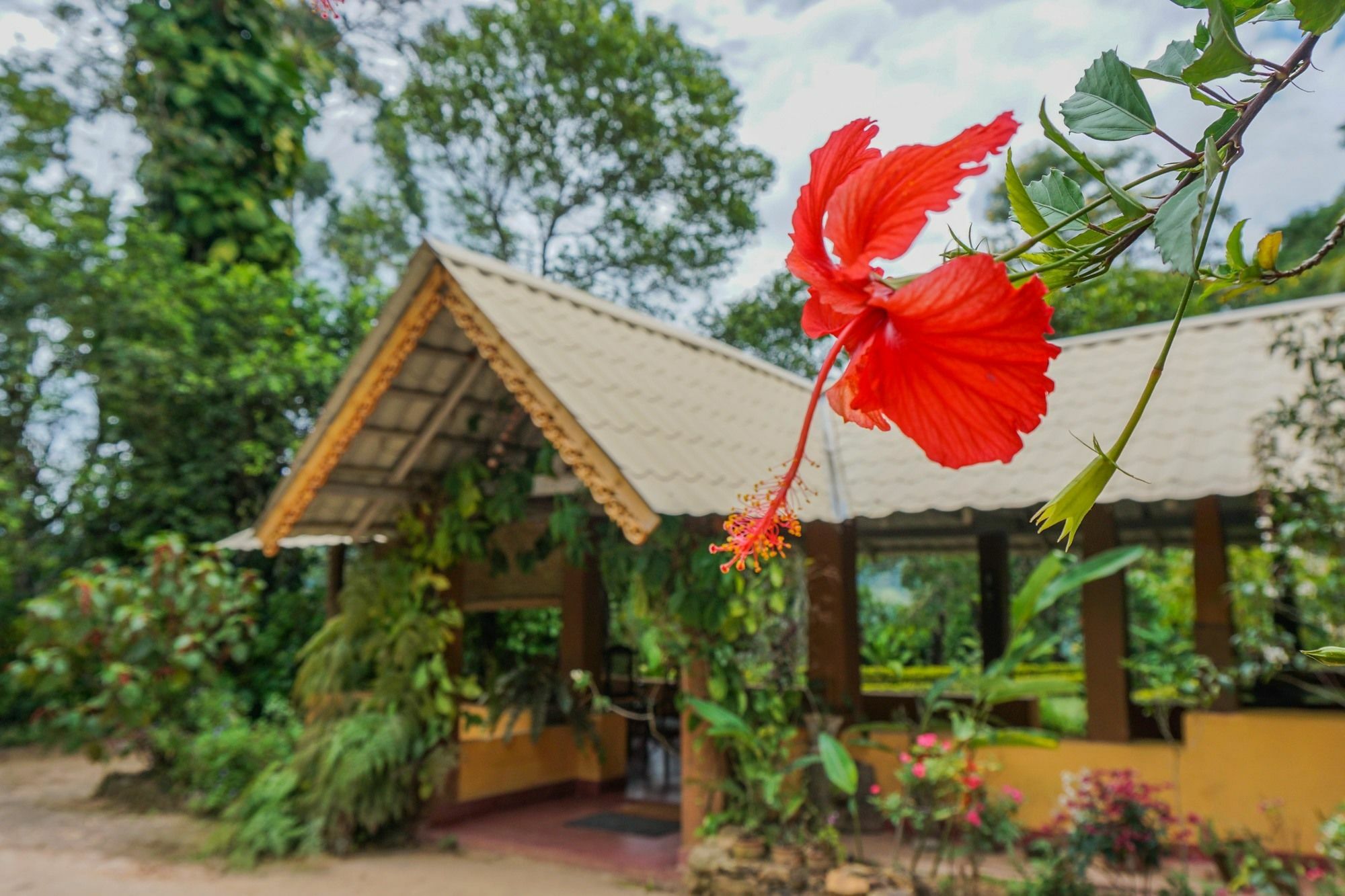 Sunnyside Holiday Bungalow Элла Экстерьер фото